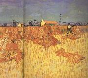 Vincent Van Gogh Harvest in Provence (nn04) oil painting picture wholesale